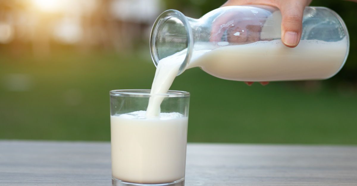 is melk gezond