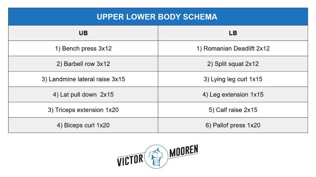upper lower body schema